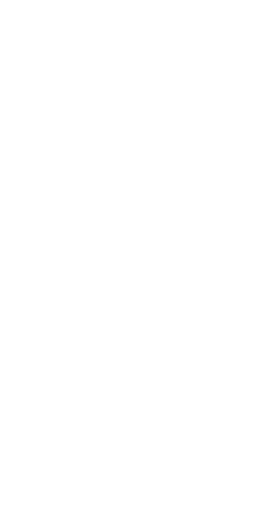 Vector 2